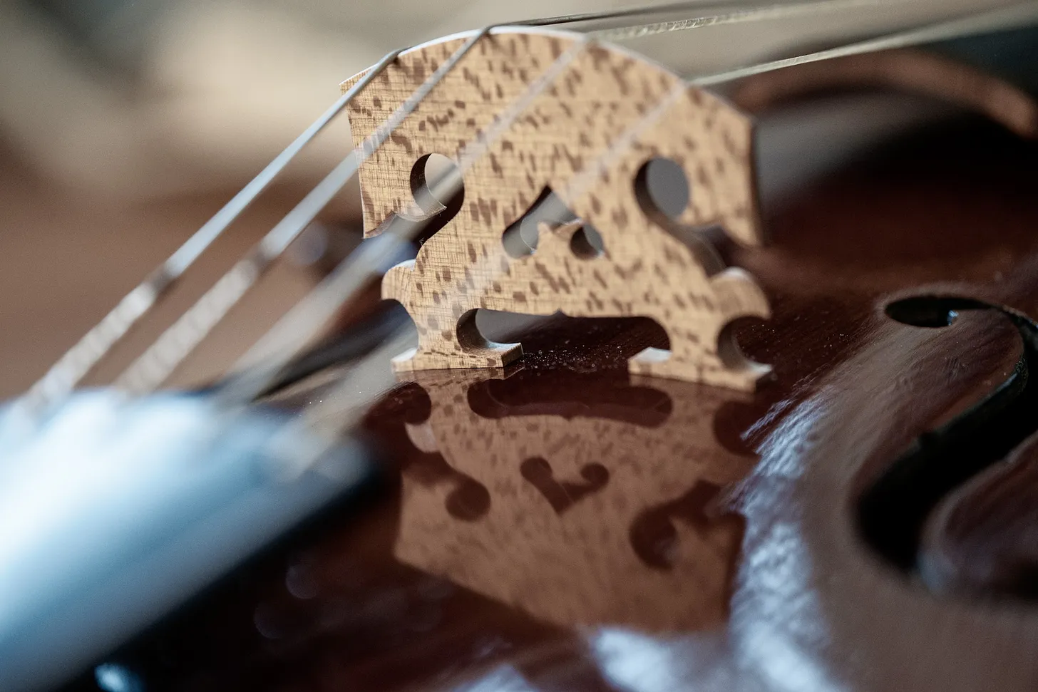 A close up of a viola with a Baroque style bridge and gut strings