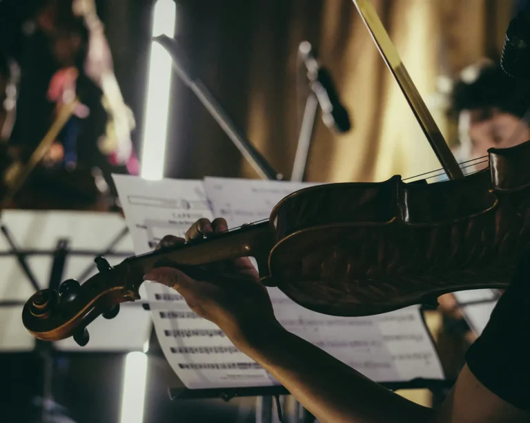 a close up of a viola played by an orchestral musician