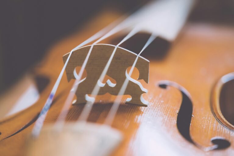 A closeup of a Baroque violin